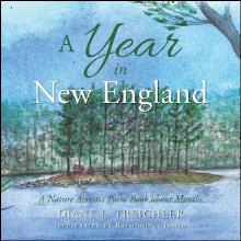 A Year in New England