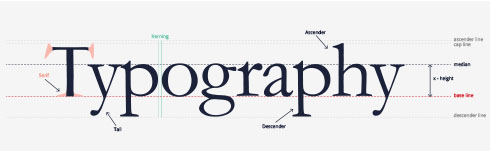 Typography